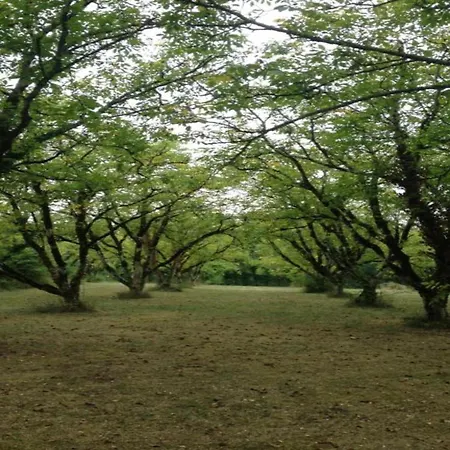 Sea View In Feriehus