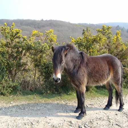 Sea View In * Fermanville