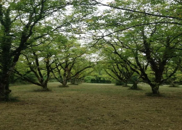 Sea View In Сasa de vacaciones